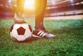 诺维茨基荣,膺德国联邦,十字勋章,必赢电子,必赢电子app,必赢电子官网入口,必赢电子官网首页,必赢电子官网