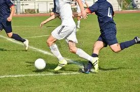 必赢电子,资讯,必赢电子app,必赢电子,必赢电子app,必赢电子官网入口,必赢电子官网首页,必赢电子官网