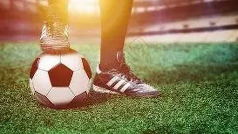 诺维茨基荣膺德国联邦十字勋章