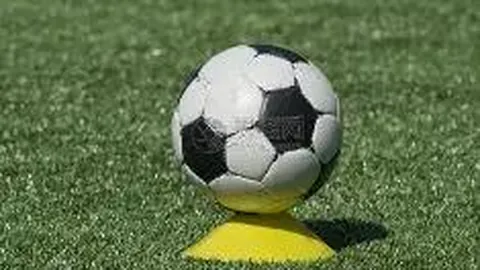 张继科遭淘汰？金晨看房邂逅神秘男伴同行