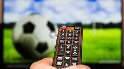 必赢电子 资讯 141316 lng