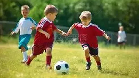 必赢电子 资讯 142243 odl